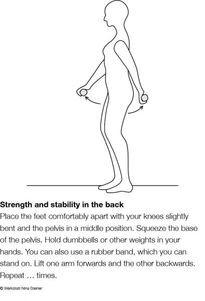 band trunk stability 17